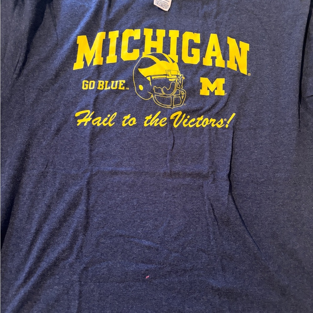 Michigan Blue Graphic T-Shirt